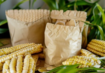 环保包装趋势深度解读：PLA需求为何激增？对商家意味着什么？