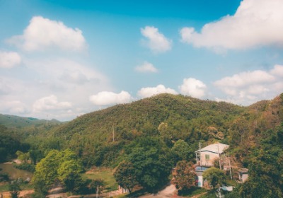 2026年佛山印刷市场环保袋行情深度解析：趋势、成本与商家应对策略