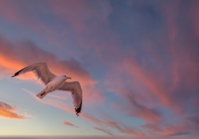 为什么大牌都在用这种哑光纸？内行才懂的门道