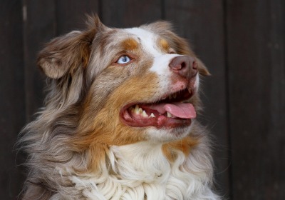 小预算如何做出让团队惊艳的入职伴手礼？