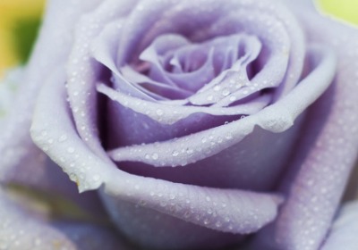 批量采购省预算：毕业季礼盒的3个成本控制点