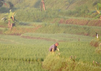 从CES看趋势：环保包装如何成为3C配件新卖点