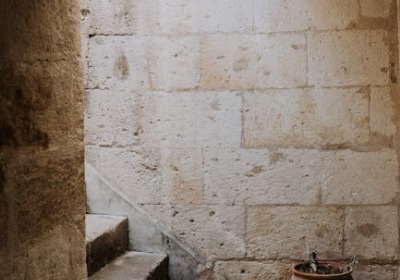 全球纸浆巨头减产，对中小品牌意味着什么？