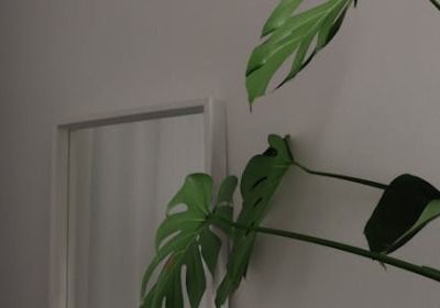 为什么高端茶礼盒都爱用这种内衬？