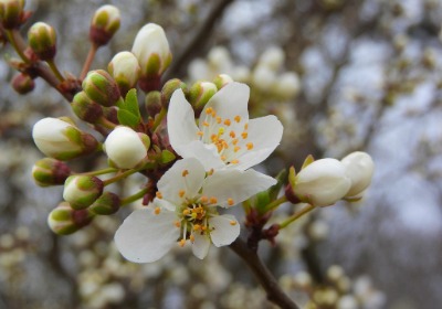 为什么大牌礼盒总用特种纸？内行人才懂的门道