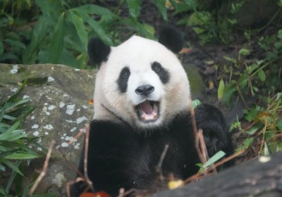 送礼没新意？试试这种可定制的保健品礼盒