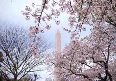 企业定制50份纪念品，我们这样控制成本 | 深圳宝安包装厂经验分享