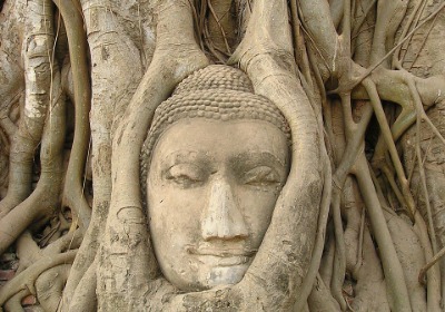 调研显示：73%的新员工因入职体验决定去留 | 深圳龙岗企业人才战略启示