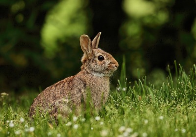 送礼时，一个让人“哇”出声的耳机盒，到底是怎么定制的？