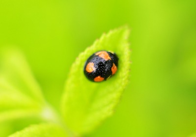 数据：采用绿色包装的品牌，线上复购率平均高出18% | 2026年行业洞察