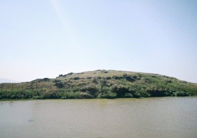 工厂包装线升级，今年流行“无人值守” | 2026年长沙包装行业深度观察