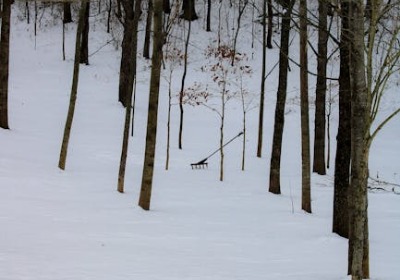 从流水线到心坎里：C2M如何重塑包装的情感价值 | 2026行业深度洞察