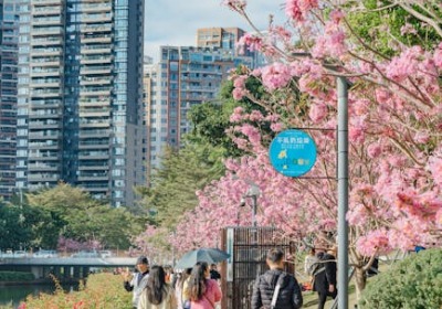 行业观察：包装盒脱胶频发，问题可能出在供应链上游