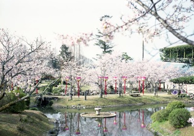 春节坚果礼盒成本揭秘：B端采购与C端定制差价有多大？