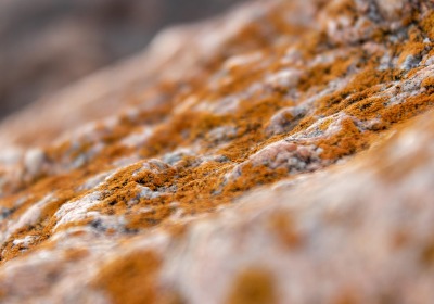 包装成本翻倍，为何高端品牌仍偏爱书型盒？