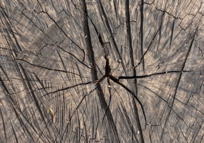 客户收到春联礼盒后复购了：秘密藏在包装的烫金纹样里