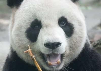 别让包装毁了你的好产品，内衬保护才是关键 | 2026年包装专家深度解析