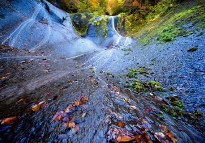 源头厂揭秘：高端茶叶礼盒的成本都花在哪了