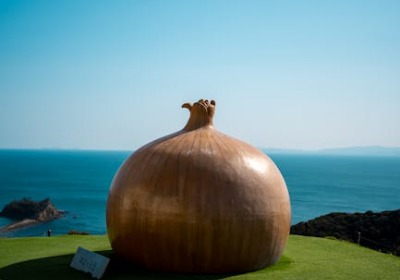 小单出海，你的包装能扛住海运颠簸吗？ | 2026年跨境包装实战指南