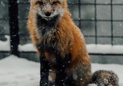 从炉边到外卖：一个牛皮纸袋如何锁住烧饼的酥脆 | 盒艺家包装方案