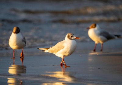 Etsy爆款都在用的3种卡片材质，选错就亏