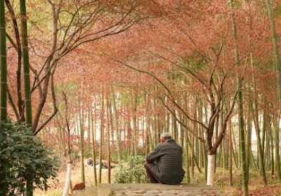 源头定制揭秘：小批量茶叶罐如何做到成本可控