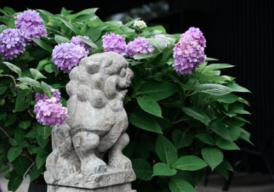 苏绣纹样+现代设计，这款中秋礼盒让客户主动晒单