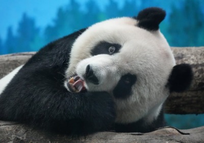 萌宝礼盒定制：从1份起，如何做出高级感