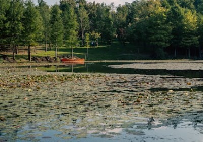 从1盒到1万盒，我们如何让每份中秋心意都独特