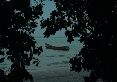 PLA包装，让产品在货架上为碳中和代言