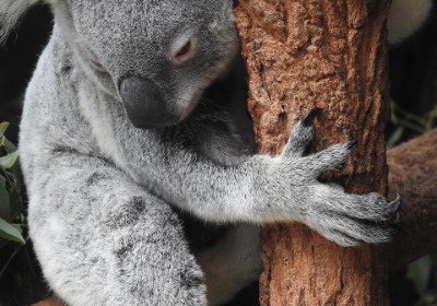 小批量也能用上大牌同款避光铝箔袋 | 东莞长安包装解决方案