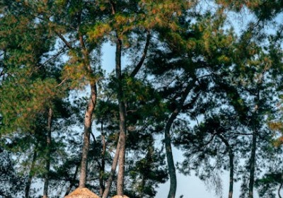 从样品到量产，我们只接一个订单：东莞长安包装厂的柔性生产革命