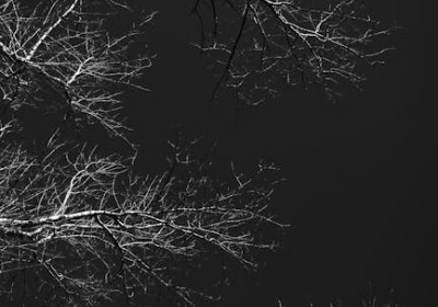 彩盒报价单里的隐藏成本，传统工厂不会告诉你