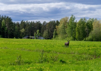 监控摄像头包装盒定制，如何用结构设计降低30%运输破损率