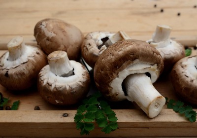 从原料展到货架：如何将新成分故事转化为高颜值包装