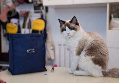 宠物粮包装袋，这3种材质选错就废了