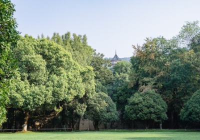 从展会到线上，你的包装灵感库该更新了