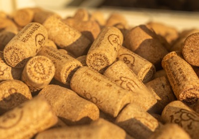 从种子到货架：FSC认证如何重塑包装故事