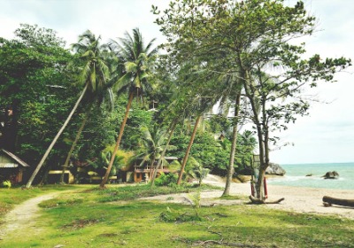 从大牌到小店，为何都选PHA做包装？