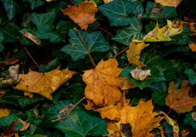 你的包裹在海外被摔过几次？跌落测试告诉你真相