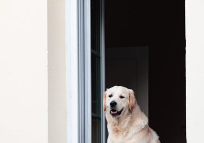智能手表包装盒结构设计中跌落冲击能量吸收的有限元分析