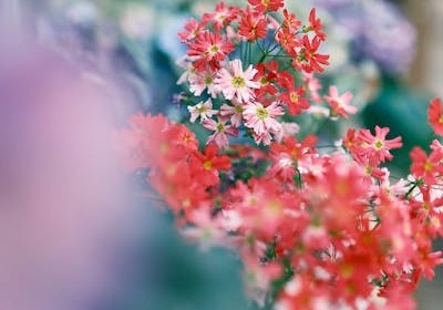 多巴胺配色如何让货架上的产品多出30%点击率