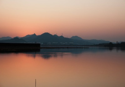 阳澄湖大闸蟹礼盒：从防伪到提货，一个包装解决的3个核心痛点