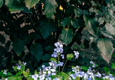 月饼包装的环保新解法，让老字号也变年轻