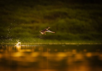 飞机盒成本拆解：尺寸、材质、印刷，一分钱花在哪？