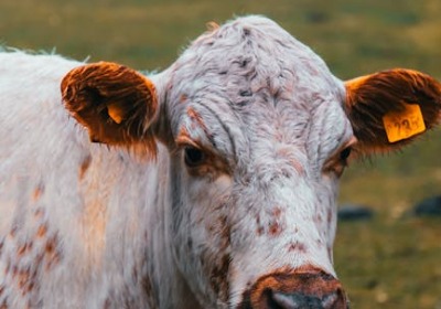 瑞幸的包装，为何总让年轻人忍不住拍照？