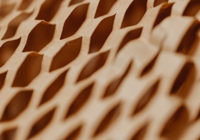 你的包装还在“排碳”？这几种材料已实现碳中和