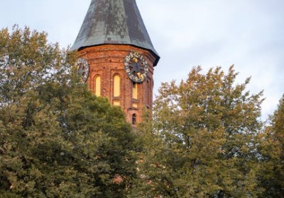 春节旅游季爆单：高颜值包装成新流量密码