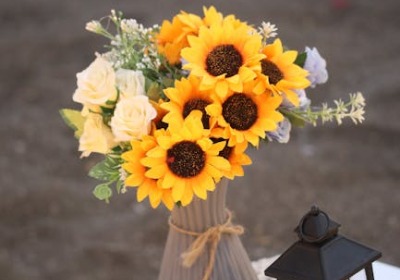 苏州本地鲜花品牌，今年礼盒包装都换成了这种风格