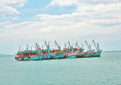 海运包装新规解读：这几种标识错误将导致整柜扣留